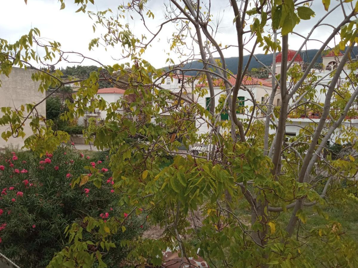 Bissias Guest House Galatász Kültér fotó